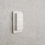 Shelly BLU RC Button 4
